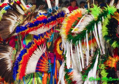 decorative feathers