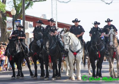 police on horses