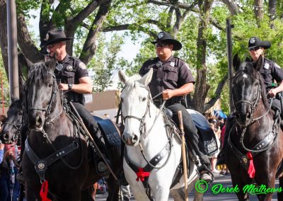 police on horses