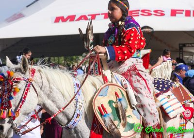 child on horse