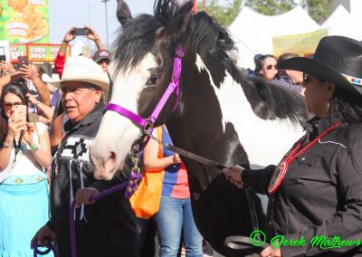 women with horse