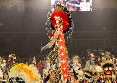 Headdress on cane