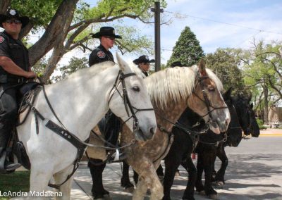 Police on horses