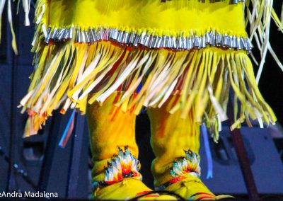 Miss Indian World contestant's dress details