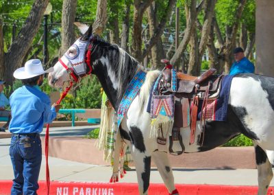 man with horse