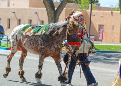 man with horse