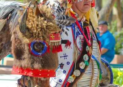 Man with horse